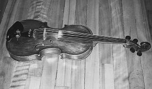 Violin